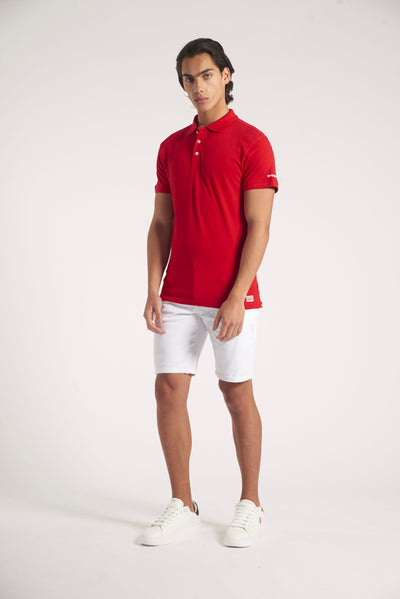Polo shirt with micrologist on sleeve 