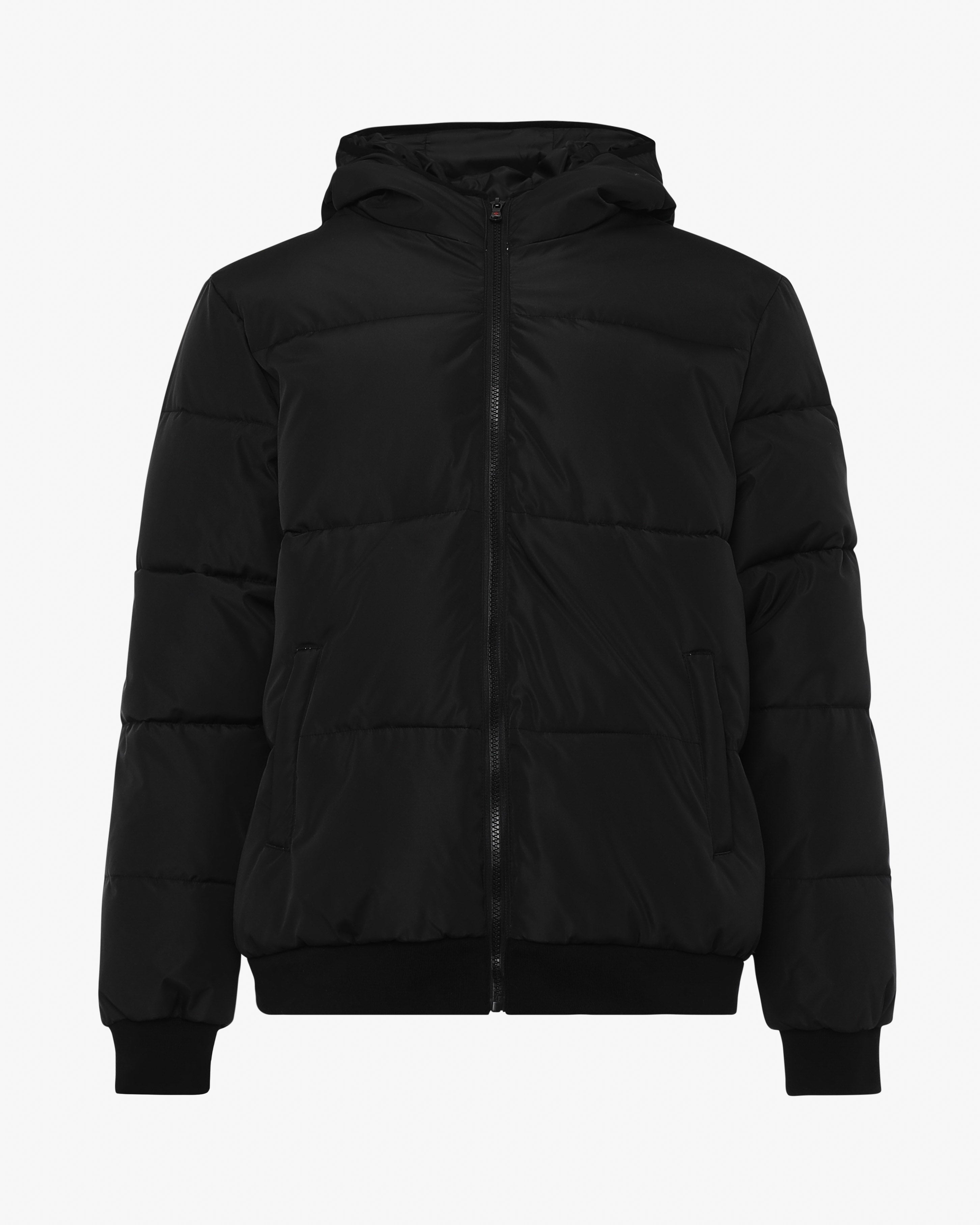 Jacket with hood and logo on back – Zu Elements