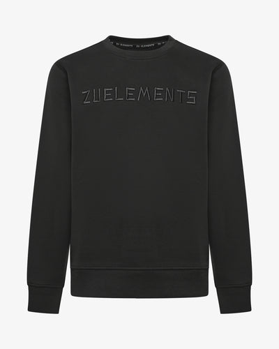 Felpa girocollo embroidery