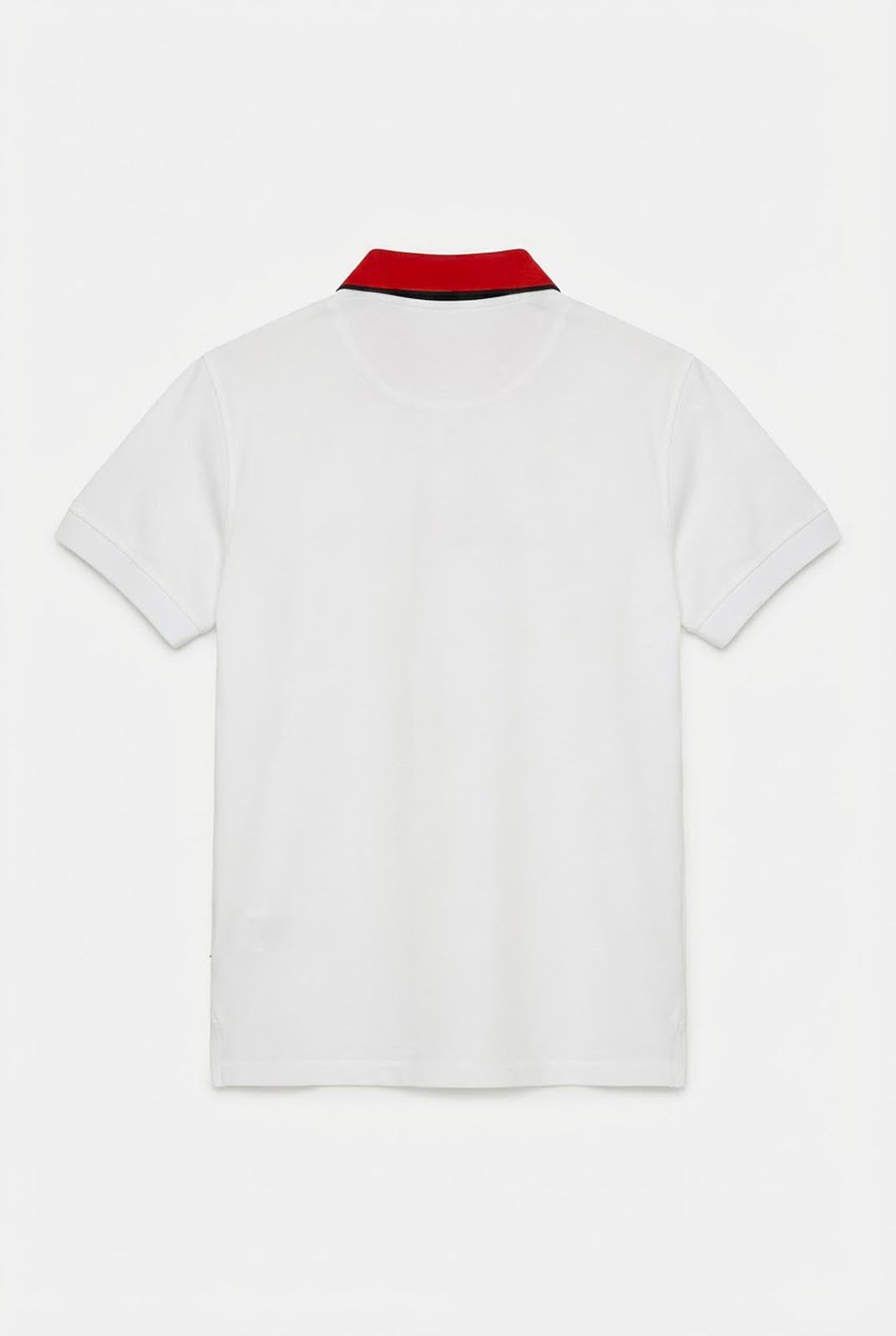 Polo in piquet, collo a contrasto con stampa